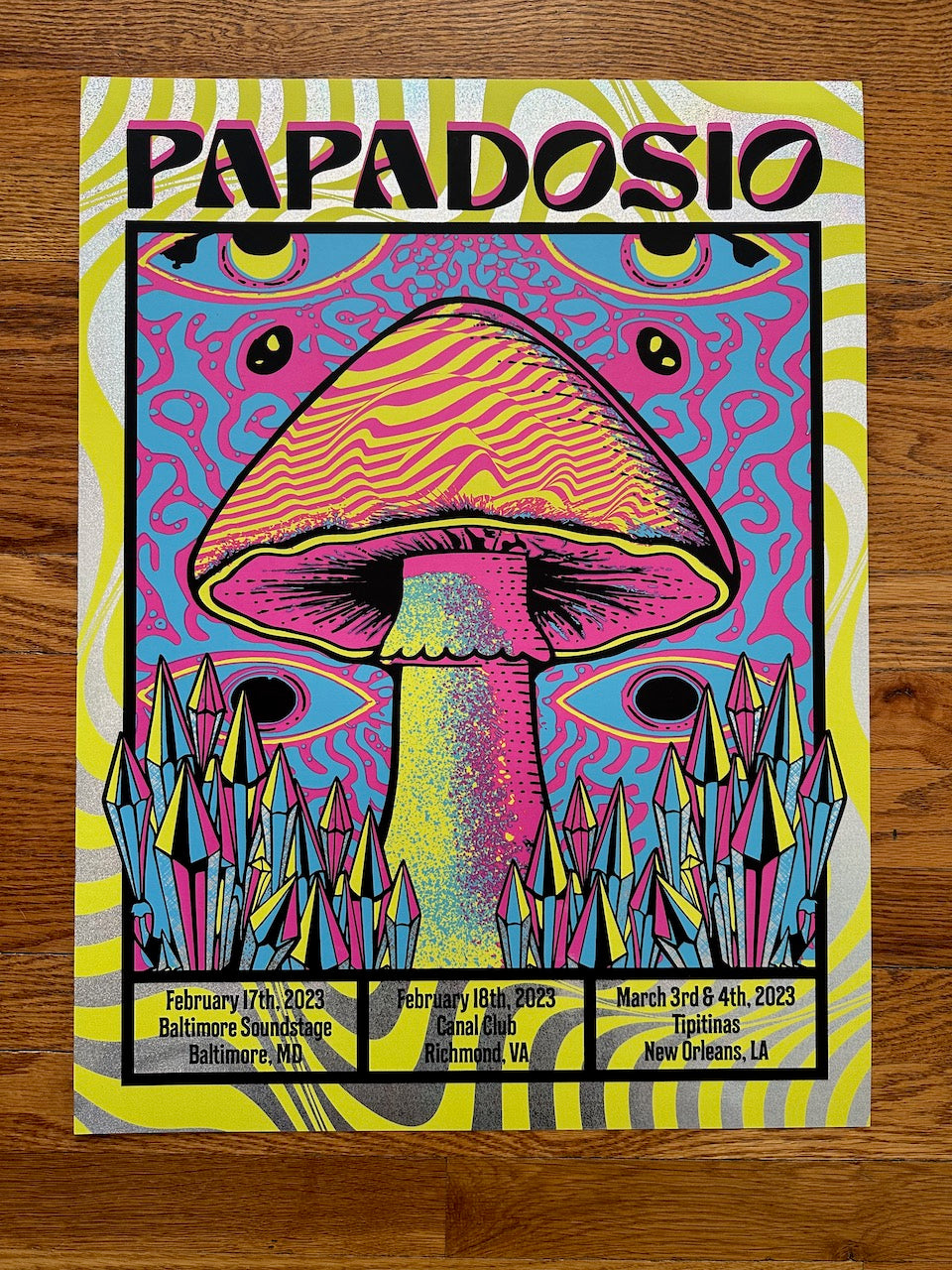 Papadosio Winter Tour Run 2023 - Official Poster